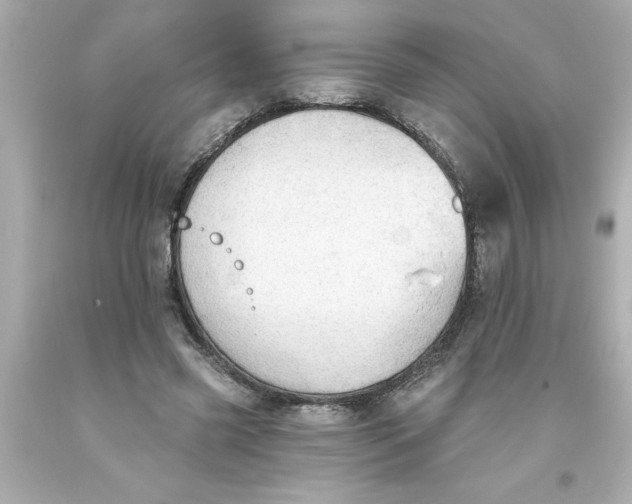 X0000093380541200711011252