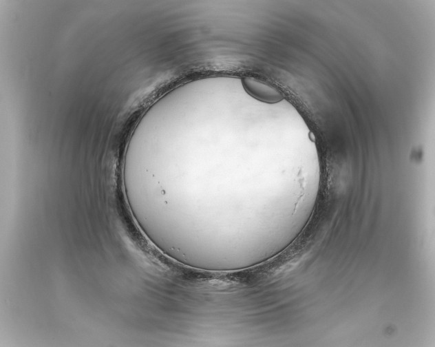 X0000093380542200711011252