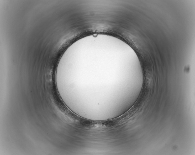 X0000093380543200711011252