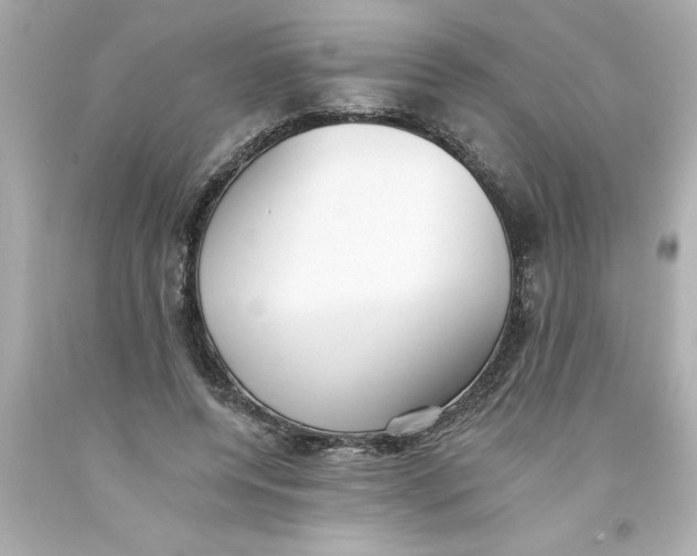 X0000093380544200711011252