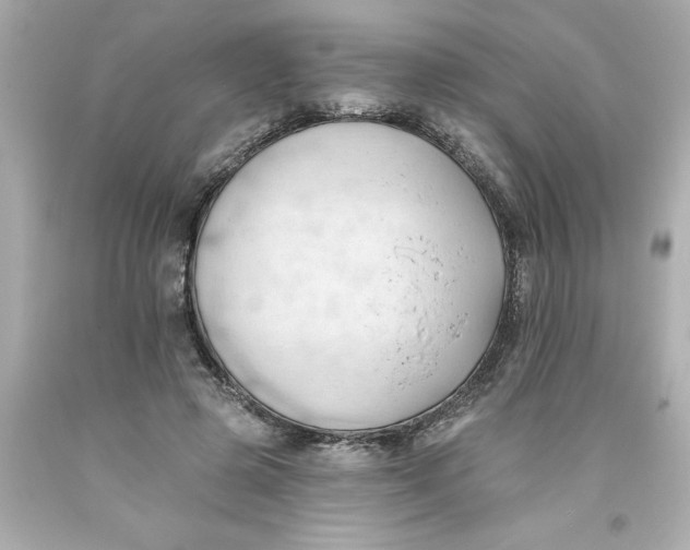 X0000093380545200711011252