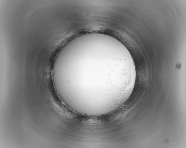 X0000093380546200711011252