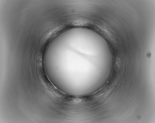 X0000093380547200711011252