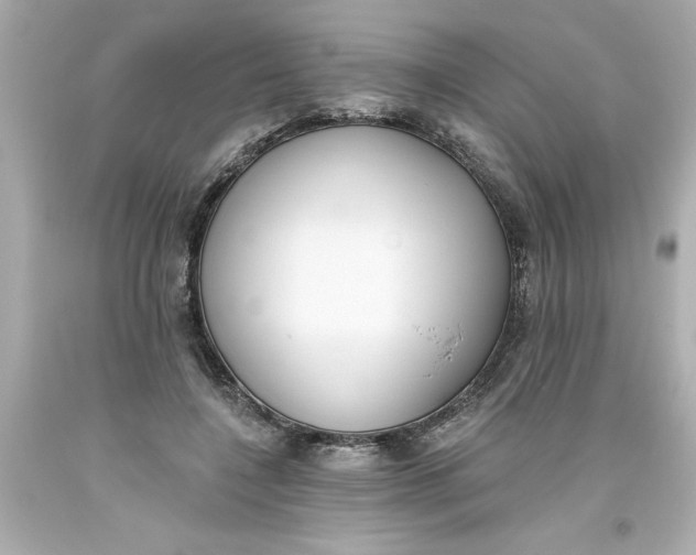 X0000093380548200711011252