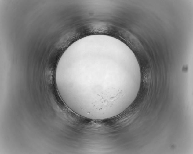 X0000093380551200711011252