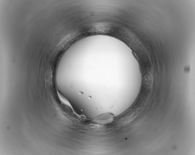 X0000093380552200711011252