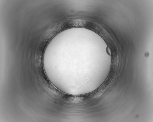 X0000093380553200711011252