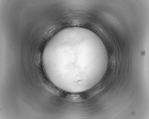 X0000093380554200711011252