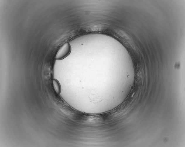 X0000093380555200711011252