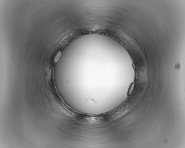 X0000093380558200711011252