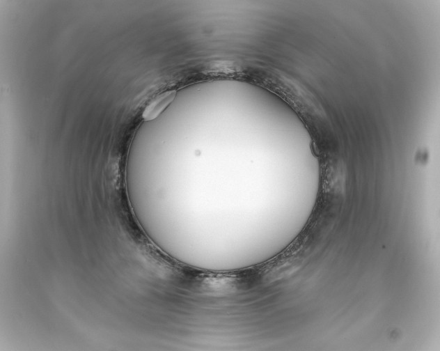 X0000093380560200711011252