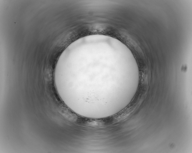 X0000093380561200711011252