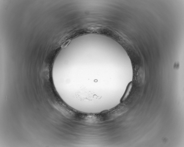 X0000093380562200711011252