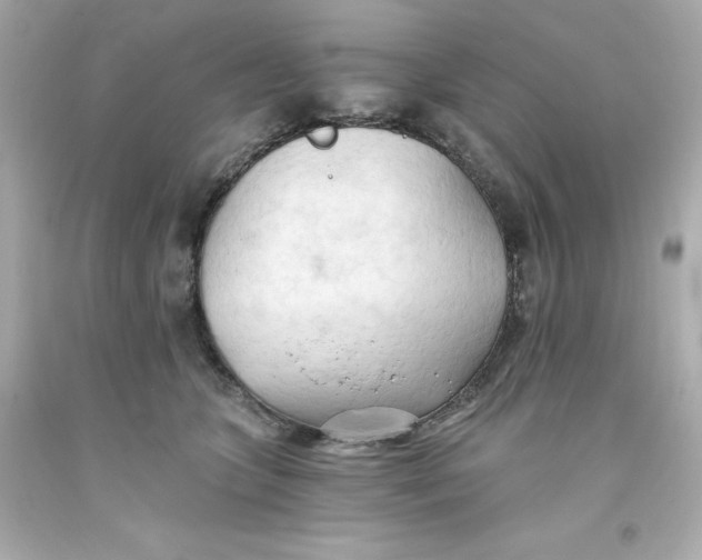 X0000093380563200711011252