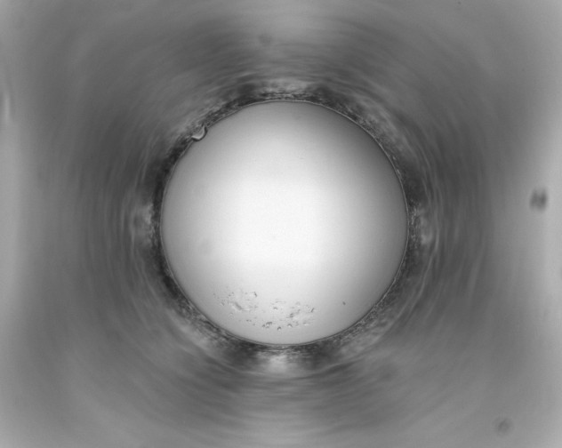 X0000093380564200711011252