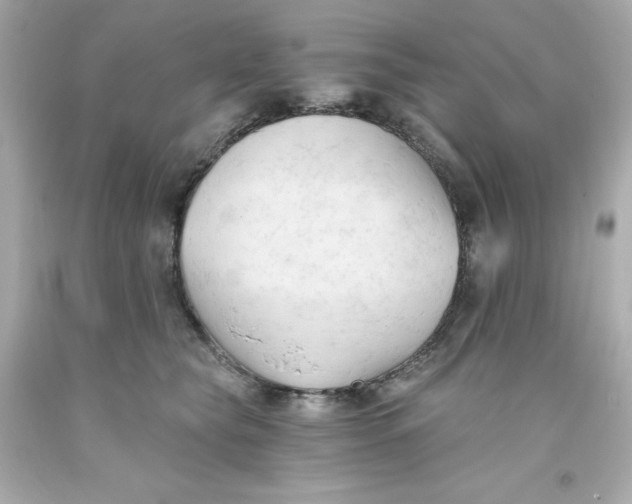 X0000093380565200711011252