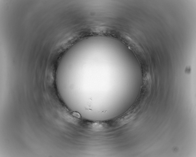 X0000093380566200711011252