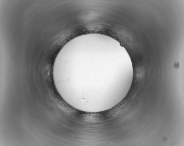 X0000093380567200711011252