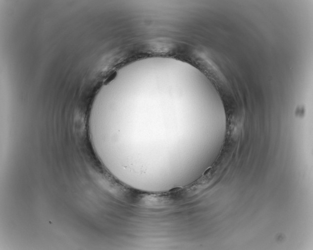 X0000093380568200711011252