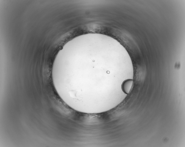 X0000093380569200711011252