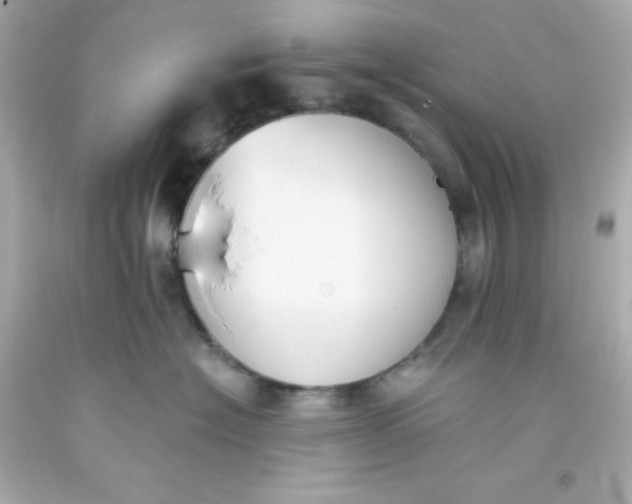 X0000093380574200711011252