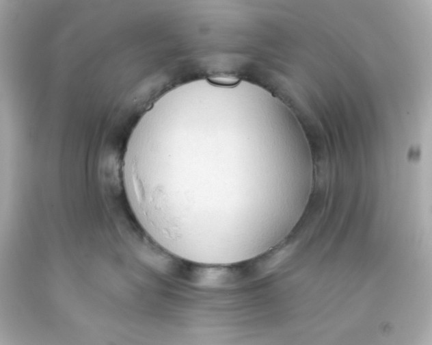 X0000093380575200711011252