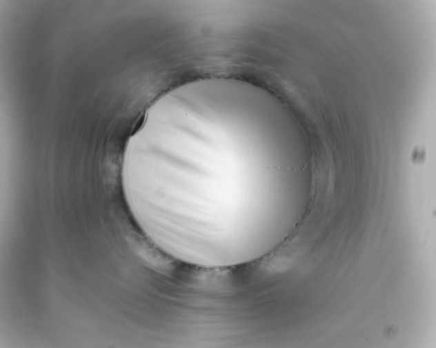 X0000093380576200711011252