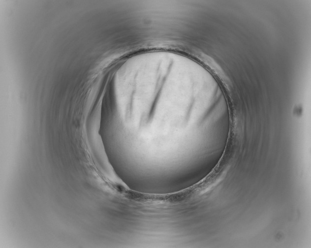 X0000093380577200711011251