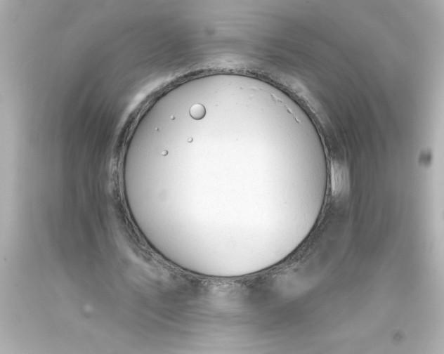 X0000093380579200711011251