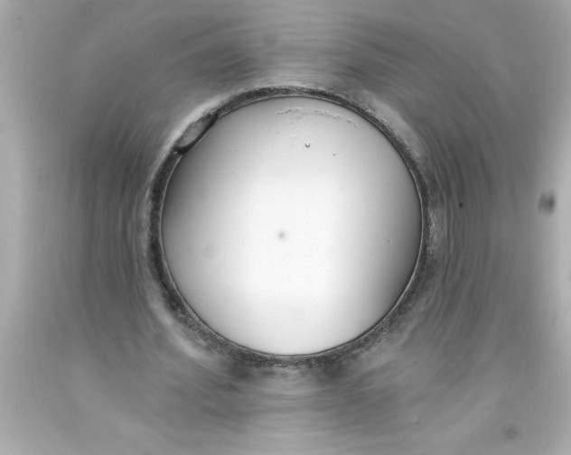 X0000093380580200711011251