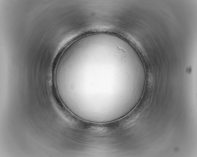 X0000093380582200711011251