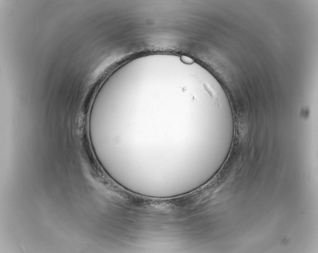 X0000093380583200711011251