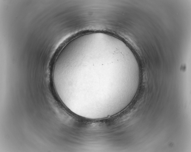 X0000093380584200711011251