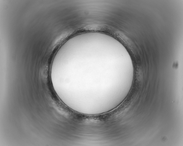 X0000093380586200711011251