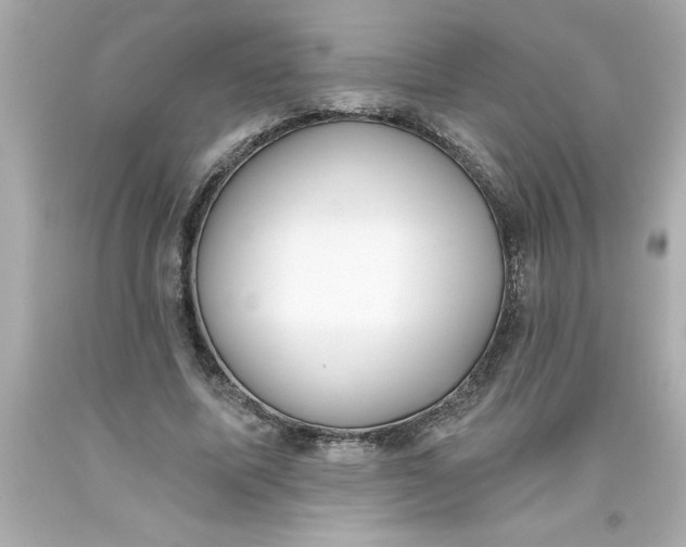 X0000093380587200711011251