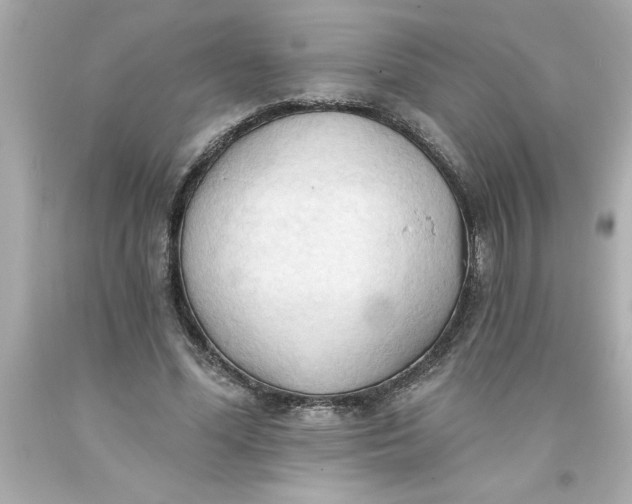 X0000093380588200711011251