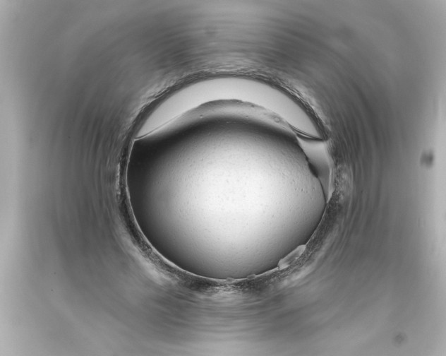 X0000093380589200711011251