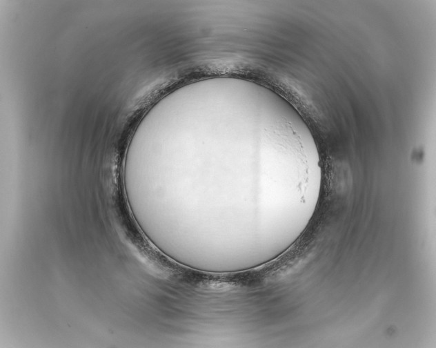 X0000093380590200711011251