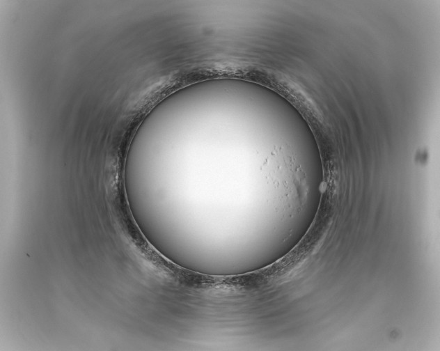 X0000093380593200711011251