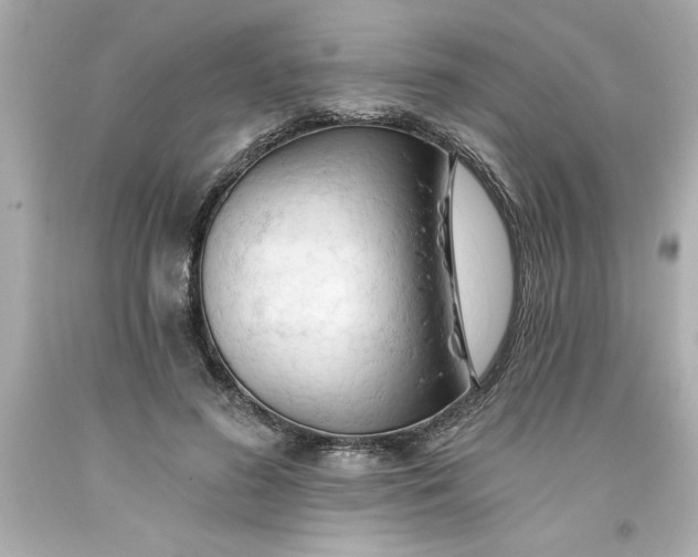 X0000093380596200711011251