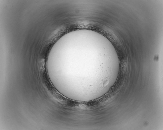 X0000093380598200711011251