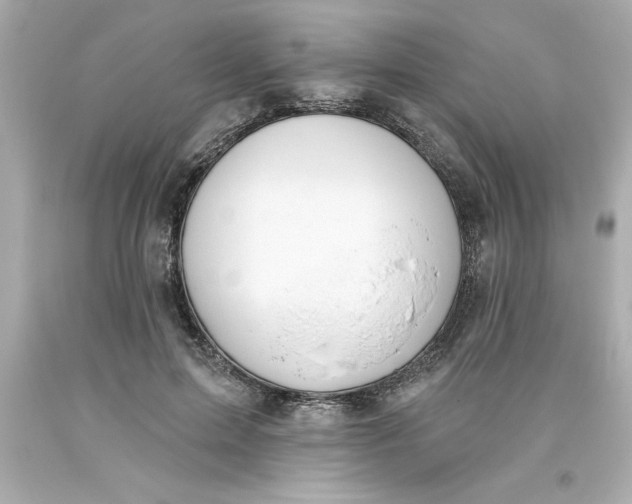 X0000093380599200711011251