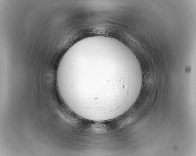 X0000093380603200711011251