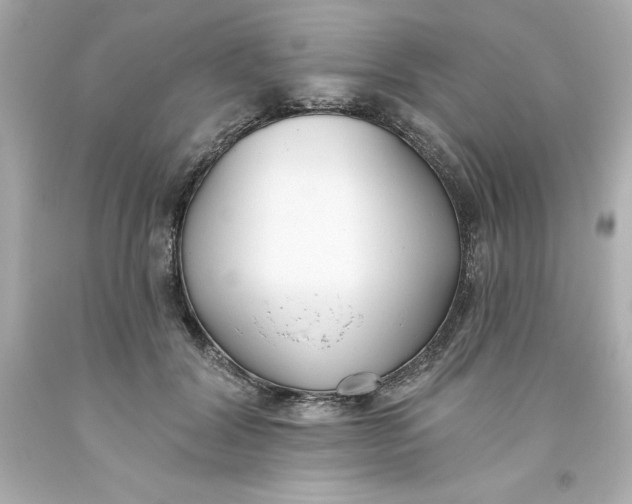 X0000093380604200711011251