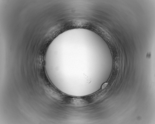 X0000093380605200711011251