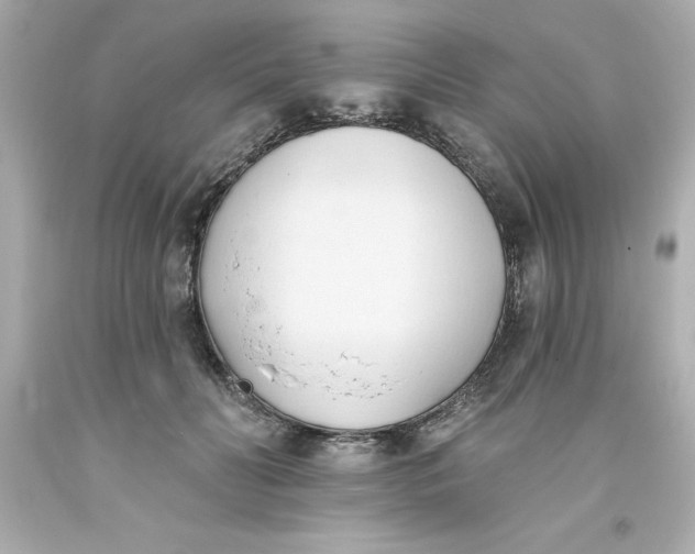 X0000093380606200711011251