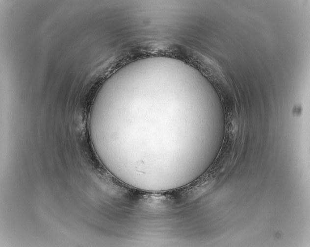 X0000093380607200711011251