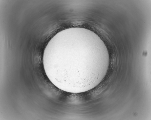 X0000093380608200711011251