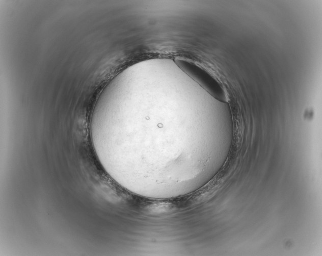 X0000093380609200711011251