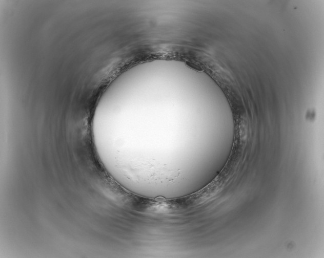 X0000093380611200711011251